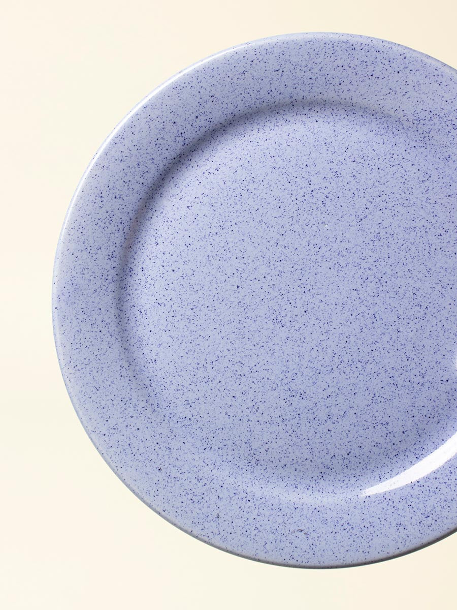 Set of 4 blue speckle lunch plate