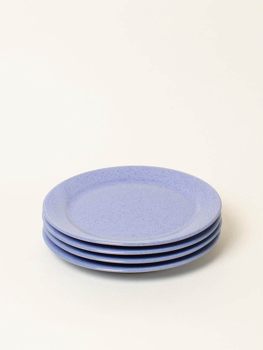 Set of 4 blue speckle lunch plate